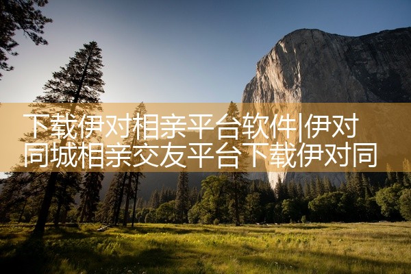 下载伊对相亲平台软件