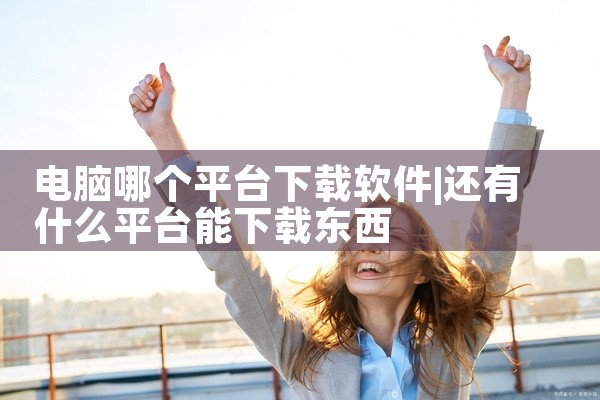 电脑哪个平台下载软件