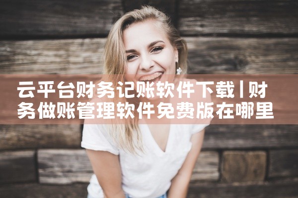 云平台财务记账软件下载
