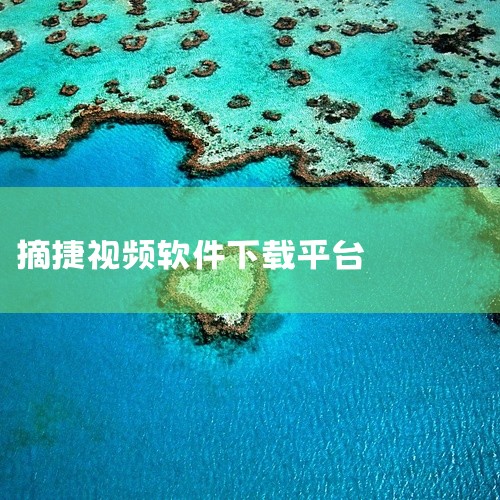 1、《视频下载》：这款软件能够直接下载大部分视频平台的内容，并支持去除视频中的水印，方便后续进行编辑处理。2、《视频提取》：这个应用不仅可以帮助用户提取视频中的音频，还提供了音频编辑和拼接功能，让用户|