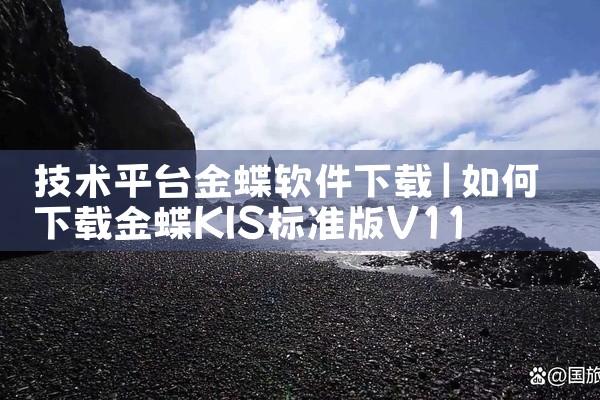技术平台金蝶软件下载