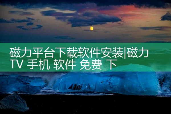 磁力平台下载软件安装