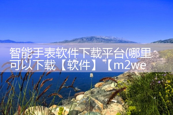 智能手表软件下载平台