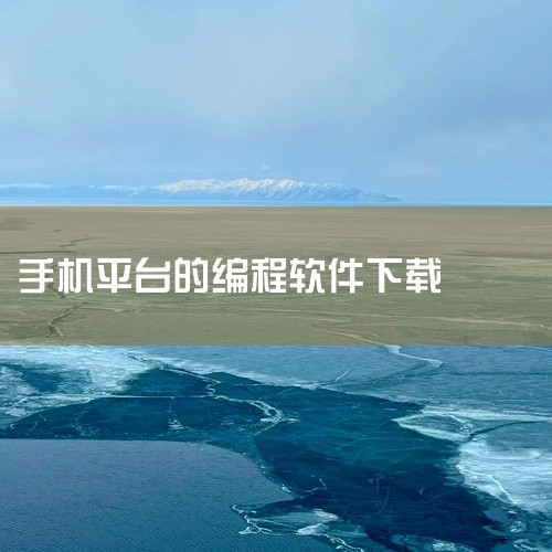 下载与适用场景下载地址：[aide手机编程软件下载-aide中文版app下载 v3.2.190305安卓版-当快软件园](aide手机编程软件下载-aide中文版app下载 v3.2.190305安卓|