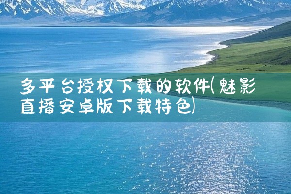 多平台授权下载的软件