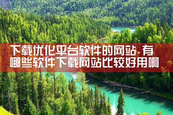 下载优化平台软件的网站