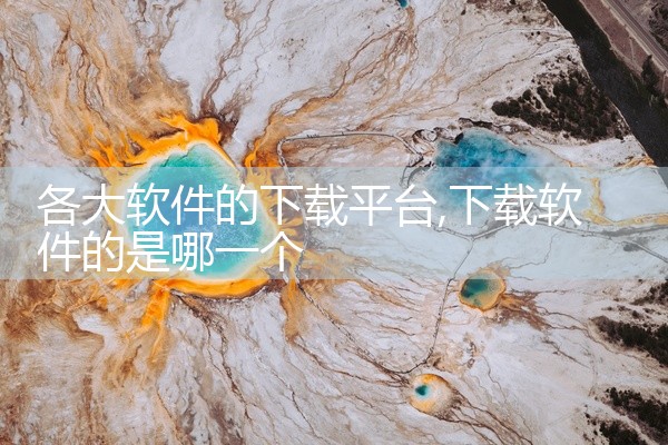 各大软件的下载平台
