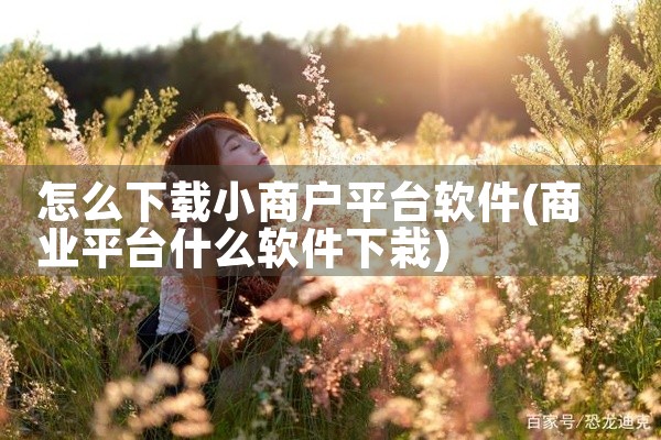 怎么下载小商户平台软件