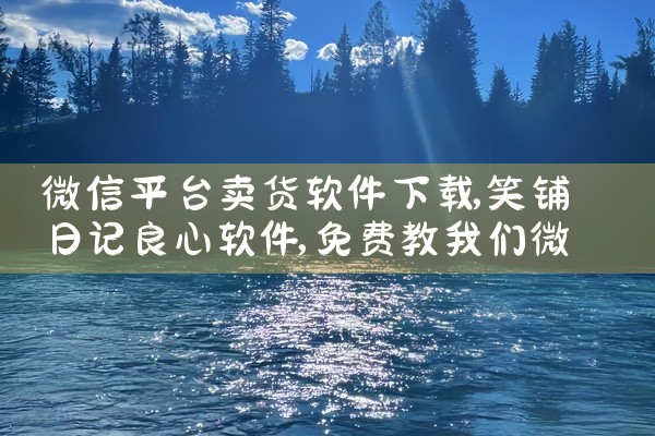 微信平台卖货软件下载