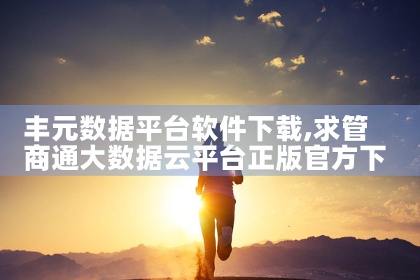 丰元数据平台软件下载