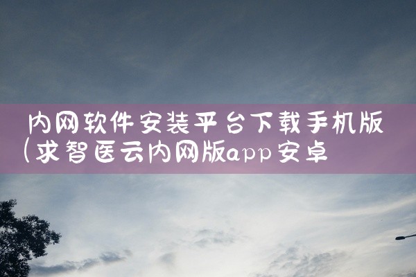 内网软件安装平台下载手机版