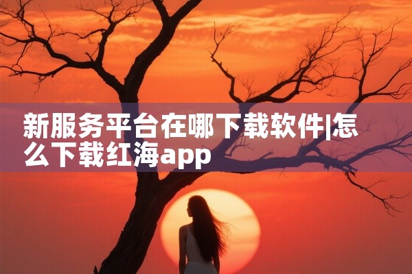 新服务平台在哪下载软件